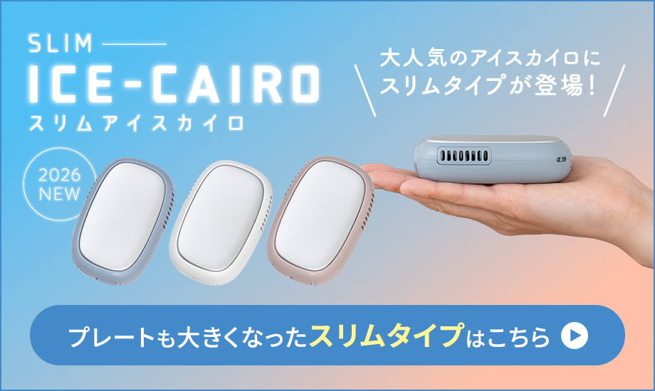 プレートも大きくなったスリムタイプ