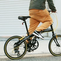 BA-100 WACHSEN(ヴァクセン) 20インチアルミ折りたたみ 自転車6段変速 