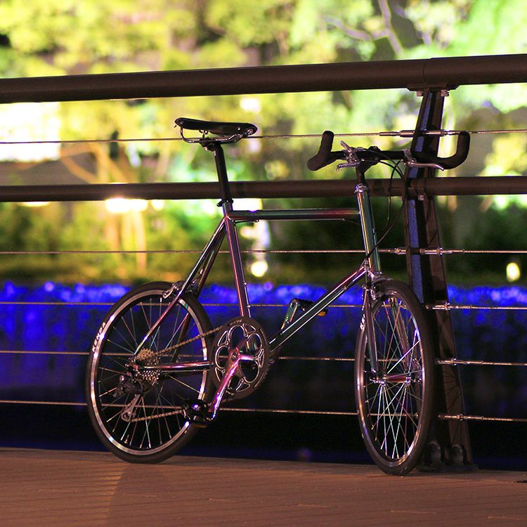 BV-MG2001 WACHSEN(ヴァクセン) 20インチクロモリミニベロ 8段変速 DAGMAR