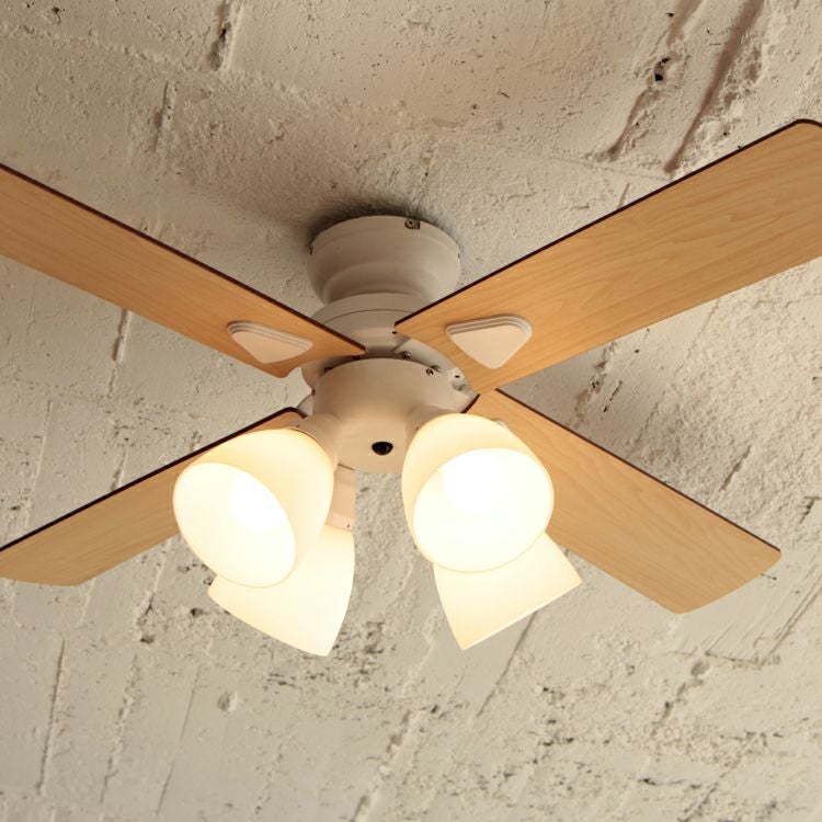 000000002637-01.jpg?size=m&w=