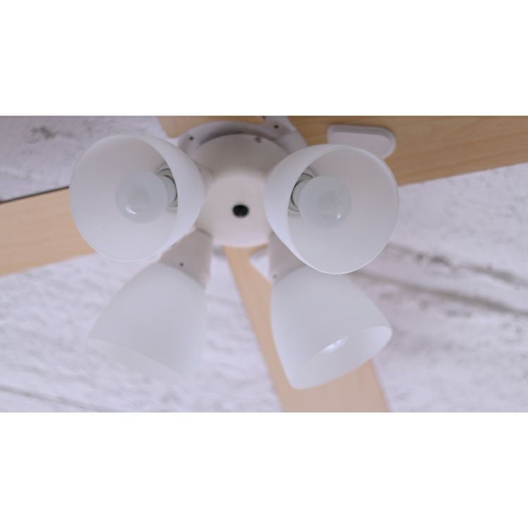 BIG-101 plusmore(プラスモア) シーリングファン Windouble 4灯