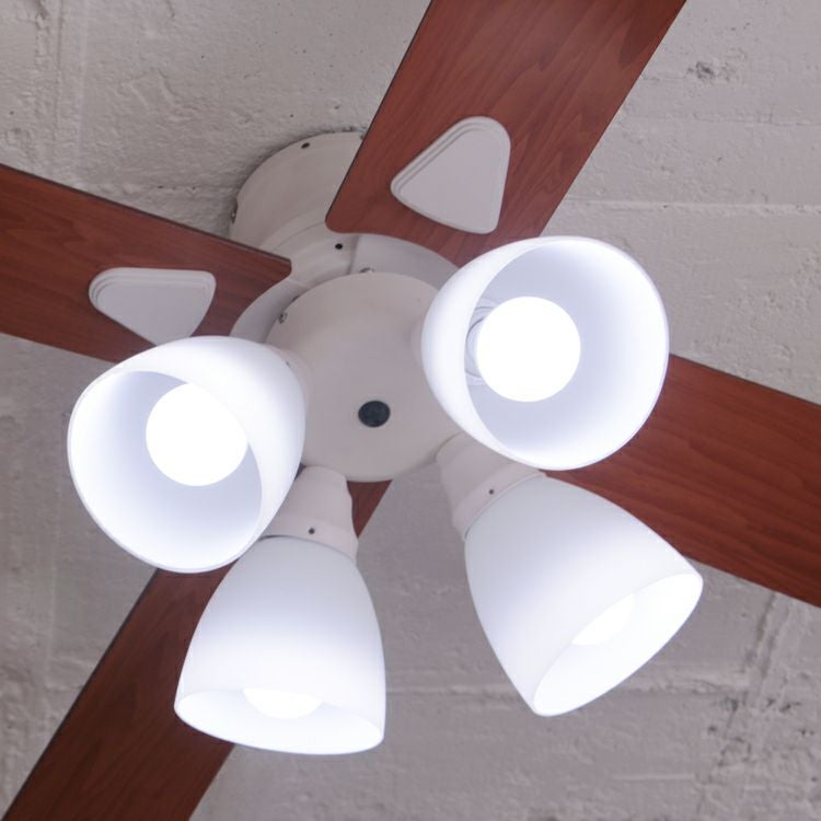 BIG-101 plusmore(プラスモア) シーリングファン Windouble 4灯