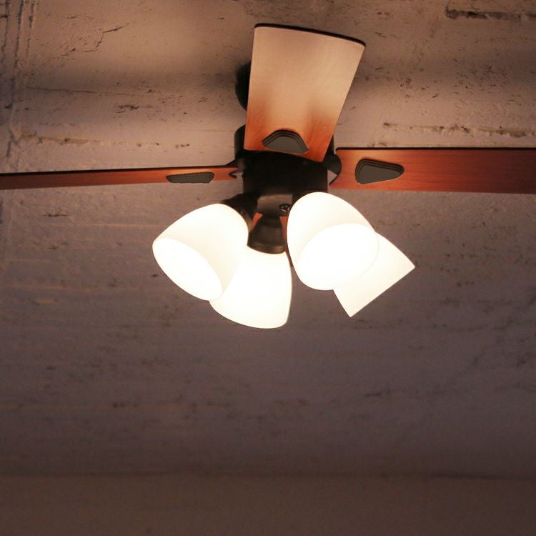 BIG-101 plusmore(プラスモア) シーリングファン Windouble 4灯