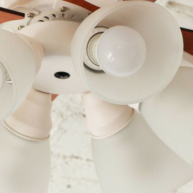 BIG-102 plusmore(プラスモア) シーリングファン Windouble 6灯