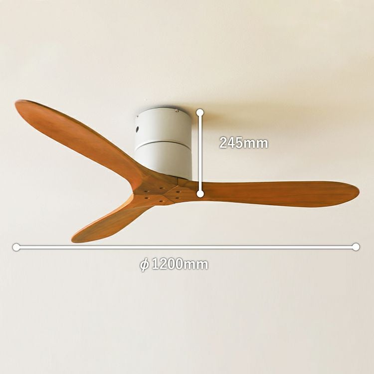000000003045-18.jpg?size=xl&w=