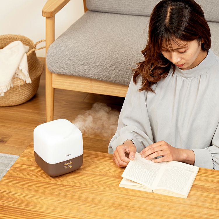 PR-HF045 PRISMATE(プリズメイト) ダブル抗菌ミストディフューザー