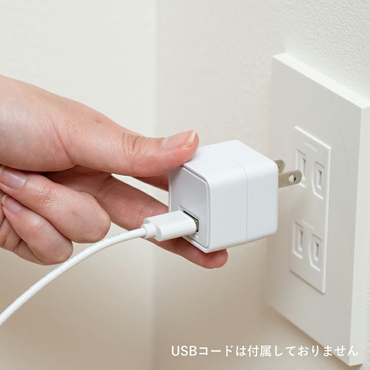 PR-EA003 PRISMATE(プリズメイト) コンパクトACアダプター 2.4A USB