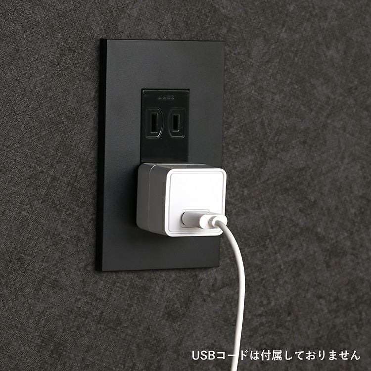 PR-EA003 PRISMATE(プリズメイト) コンパクトACアダプター 2.4A USB
