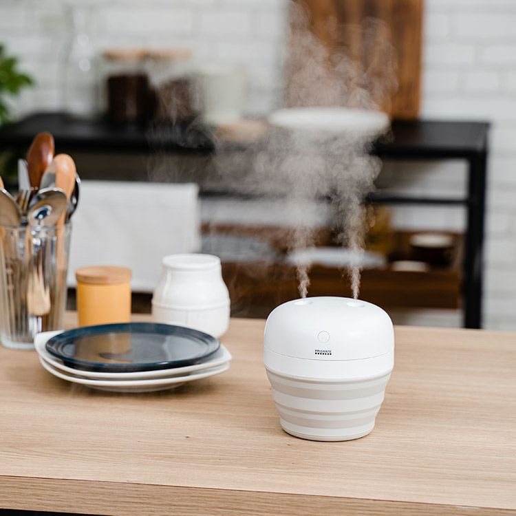 テレビで紹介】プリズメイトの折りたたみ加湿器 PR-HF070 | コードレス