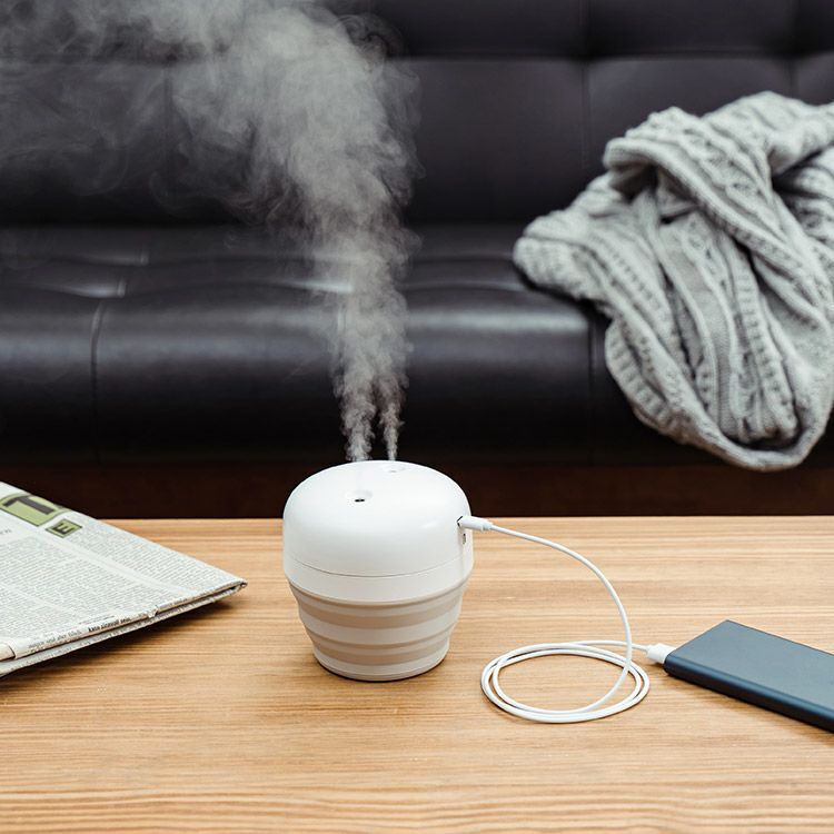 テレビで紹介】プリズメイトの折りたたみ加湿器 PR-HF070 | コードレス