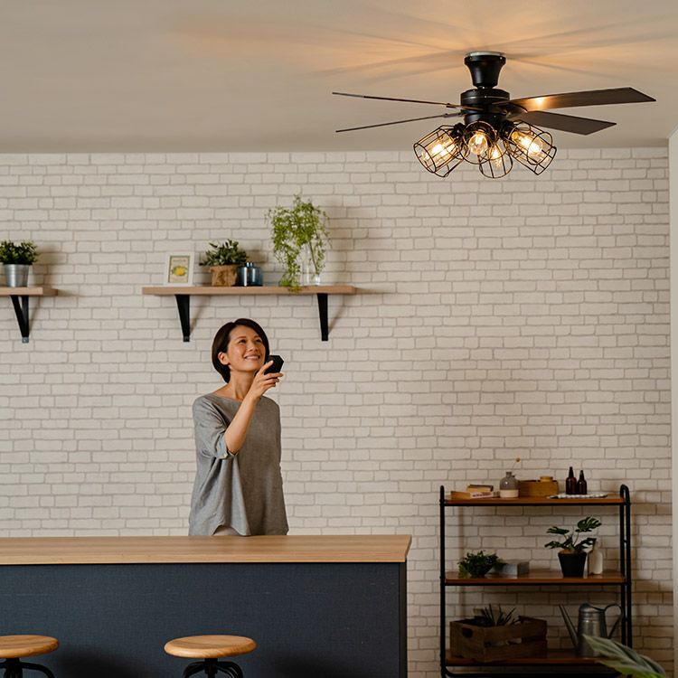 保証5年】JE-CF048 JAVALO ELF(ジャバロエルフ) Modern Collection