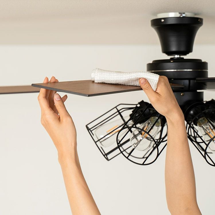 保証5年】JE-CF048 JAVALO ELF(ジャバロエルフ) Modern Collection