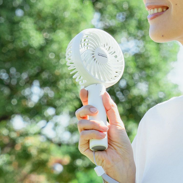 PR-F093 PRISMATE(プリズメイト) 静音ハンディファン アロマトレイ付