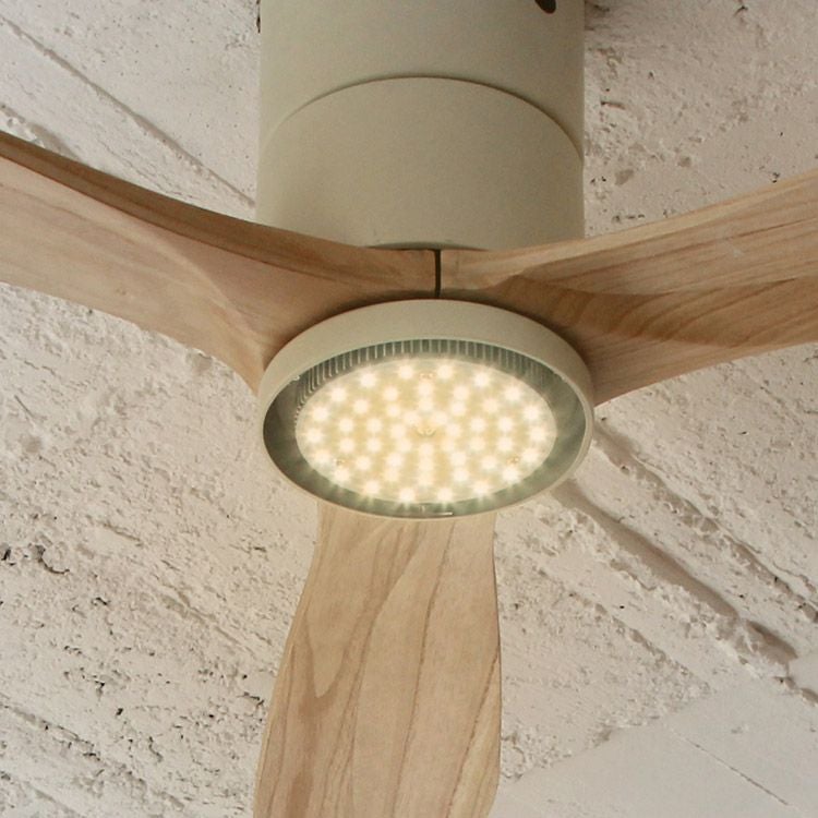 保証5年】JE-CF017D JAVALO ELF(ジャバロエルフ) Modern Collection