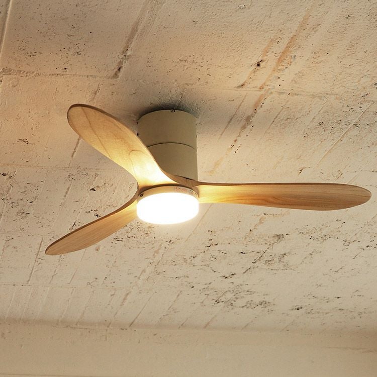 保証5年】JE-CF017D JAVALO ELF(ジャバロエルフ) Modern Collection