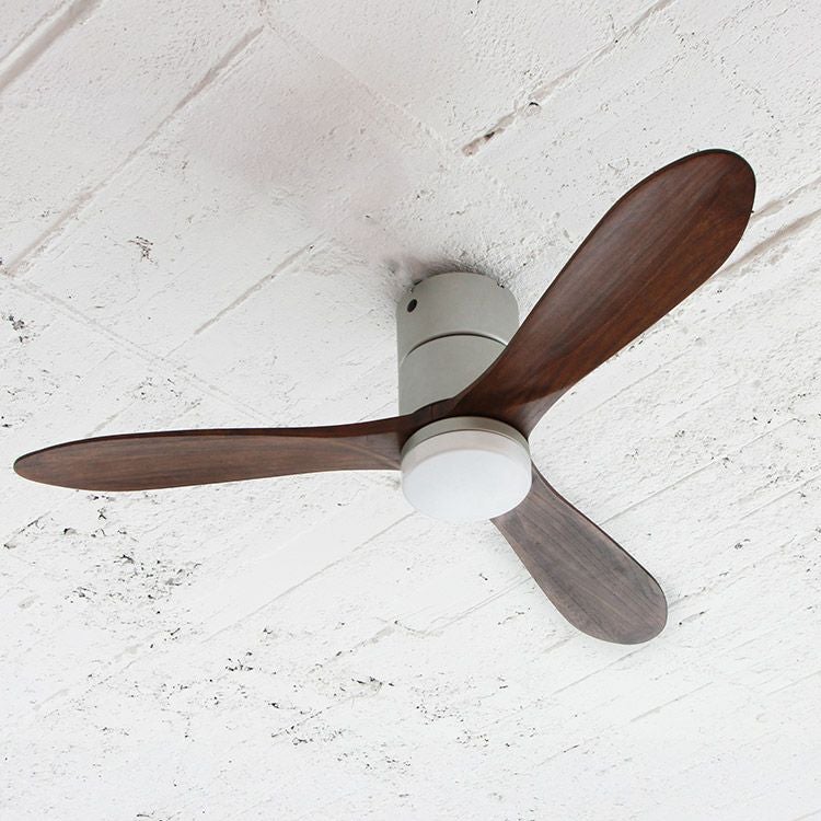 保証5年】JE-CF017D JAVALO ELF(ジャバロエルフ) Modern Collection